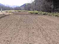 ��܂��I��